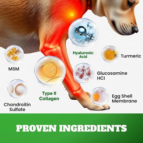 Dog Hip & Joint Supplement Chews with Glucosamine & Chondroitin – Joint Support for Senior & Large Breed Dogs, Helps Mobility & Flexibility – 120 Ct in Kuwait