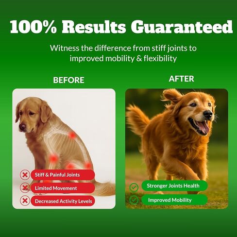 Dog Hip & Joint Supplement Chews with Glucosamine & Chondroitin – Joint Support for Senior & Large Breed Dogs, Helps Mobility & Flexibility – 120 Ct in Kuwait