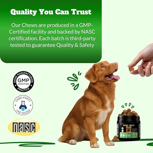 Dog Hip & Joint Supplement Chews with Glucosamine & Chondroitin – Joint Support for Senior & Large Breed Dogs, Helps Mobility & Flexibility – 120 Ct in Kuwait