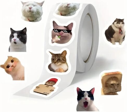 500 قطعة من ملصقات Cat Meme، ملصقات حيوانات لطيفة من الفينيل مقاومة للماء، مجموعة ملصقات مضحكة للقطط للكمبيوتر المحمول، سجل القصاصات، الزجاجات، المجلات، الحرف اليدوية (10 أنماط) in Saudi Arabia