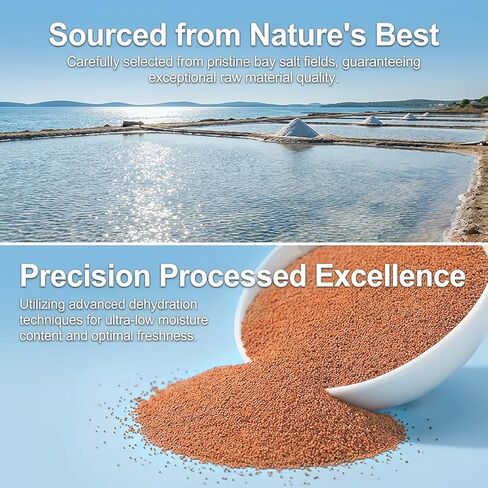 Sukh Hatch-Free Brine Shrimp Eggs for Aquarium Feeding – Decapsulated Artemia, 180–220μm High Protein Fry Size, Instant Use for Guppy Fish Food, Sea Monkey Food & Betta Diets in Saudi Arabia