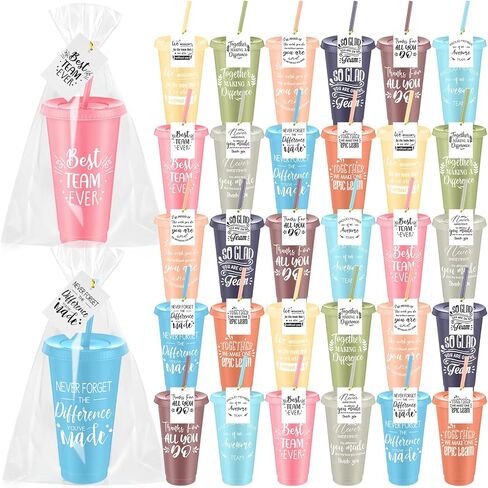 Skylety 30 Pcs Valentine Galentine Employee Appreciation Gift Bulk 24 oz Plastic Tumbler Cup with Lids Straws Thank You Cup Bulk for Coworker Team Teacher Nurse Volunteer(Proud,Bright Colors) in Saudi Arabia