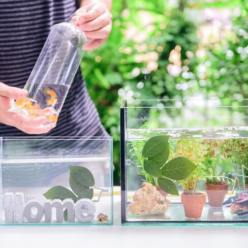 3 PCS Fish Leaf Pad Fish Tank Accessories, Adjustable Plastic Fish Leaf Pad, Betta Fish Leaves Natural Habitat Playing for Betta, Guppy, Tropical Fish Resting, Playing, Breeding with Suction Cup in Kuwait