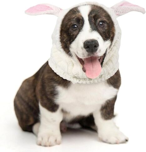 عيد الفصح الكلب سنود الأرنب زي لينة الغزل الكلب الأرنب غطاء الأذن يفشل قبعة الشتاء للحيوانات الأليفة حماية الضوضاء محبوك التفاف الرأس الشتاء عيد الفصح والشتاء (كبير) in Kuwait