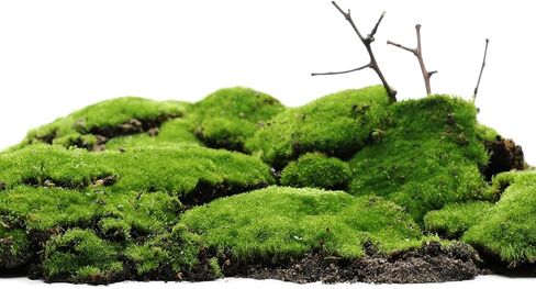 Static Grass, Nylon Artificial Grass Powder 5mm 2 x 30g Artificial Grass Fake Grass Tuft Model for Train Landscape Railway Sand Ground,Winter Green, Pack of 2 in Saudi Arabia