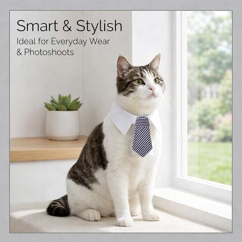 3 Pcs Dog Cat Bow Tie Pet Tuxedo Collar Wedding Formal Costume Adjustable for Dog Cat Puppy Birthday Necktie Collars in Saudi Arabia