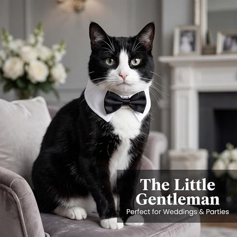 3 Pcs Dog Cat Bow Tie Pet Tuxedo Collar Wedding Formal Costume Adjustable for Dog Cat Puppy Birthday Necktie Collars in Saudi Arabia