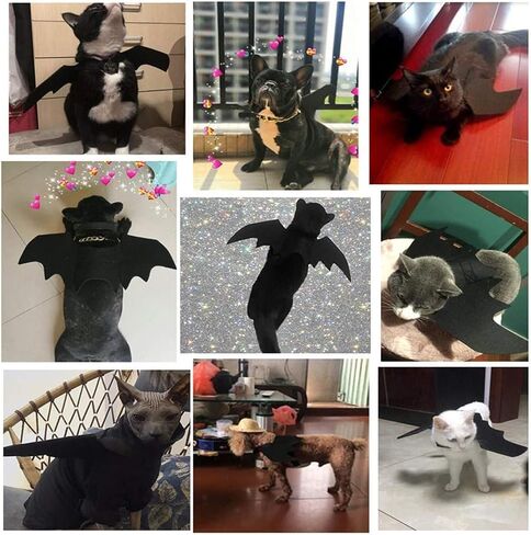 Pet Bat Wings, Perfect for Cats Puppies Cute Cosplay Costume Accessories Dress-Up Fun for Pets Parties in Saudi Arabia
