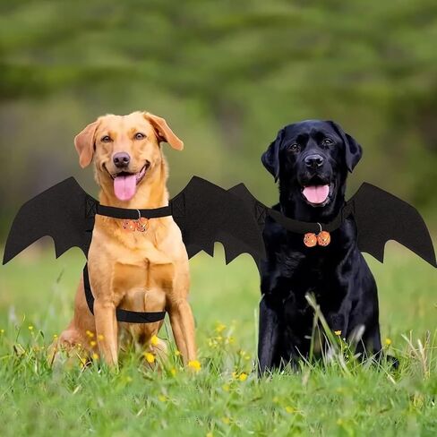 Pet Bat Wings, Perfect for Cats Puppies Cute Cosplay Costume Accessories Dress-Up Fun for Pets Parties in Saudi Arabia