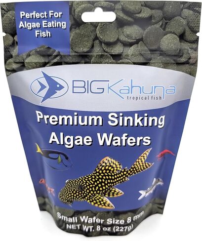 Small 8mm Algae Wafer - Algae Wafers for Bottom Feeders - The Best Pleco Wafers & Pleco Food Available - Algae Wafers for Snails (8 oz) in Saudi Arabia