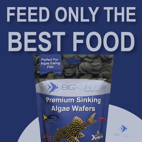 Small 8mm Algae Wafer - Algae Wafers for Bottom Feeders - The Best Pleco Wafers & Pleco Food Available - Algae Wafers for Snails (8 oz) in Saudi Arabia