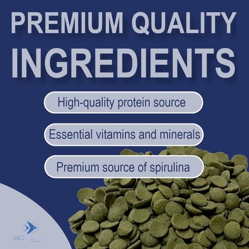 Small 8mm Algae Wafer - Algae Wafers for Bottom Feeders - The Best Pleco Wafers & Pleco Food Available - Algae Wafers for Snails (8 oz) in Saudi Arabia