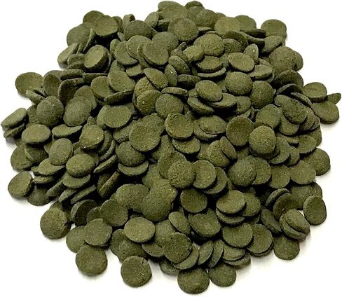 Small 8mm Algae Wafer - Algae Wafers for Bottom Feeders - The Best Pleco Wafers & Pleco Food Available - Algae Wafers for Snails (8 oz) in Saudi Arabia