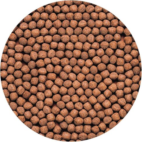 حبيبات Hikari® Cichlid Gold™ العائمة للحيوانات الأليفة، متوسطة، 3.5 أونصة (100 جم) in Saudi Arabia