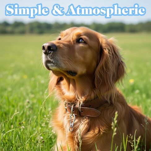 4 Pack Dog Tag Clips, Stainless Steel Heavy Duty Quick and Secure Id Tag Holders for Dog Cat Collars and Harnesses, Easy Change Clips for Dogs and Cats (Silver) in Saudi Arabia