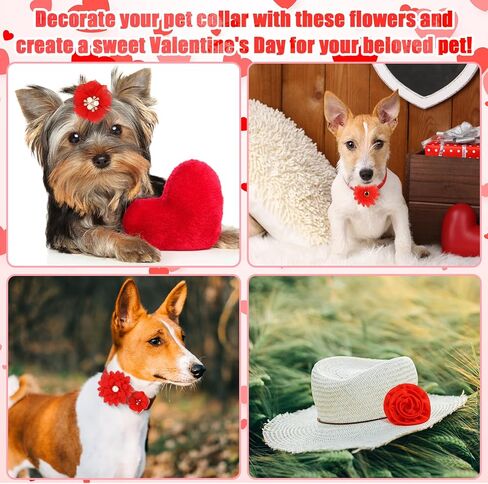 Hoteam 100 Pcs Dog Flower Collar Bows Pet Multicolor Bow Charms Set with Elastic Rubber Band for Summer Party Dogs Puppy Cat Pet Grooming Accessories in Saudi Arabia