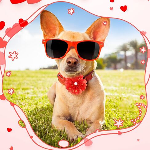 Hoteam 100 Pcs Dog Flower Collar Bows Pet Multicolor Bow Charms Set with Elastic Rubber Band for Summer Party Dogs Puppy Cat Pet Grooming Accessories in Saudi Arabia