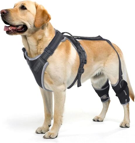 دعامة ركبة الكلب من ELEGX لدعم الرباط الصليبي الأمامي والخلفي الممزق مع مثبتات جانبية - دعامة للورك والساق للكلاب قابلة للتعديل مع مقبض للرباط الصليبي، وتخفيف التهاب المفاصل، واستقرار المفاصل والتعافي من الإصابات، مقاس L in Kuwait