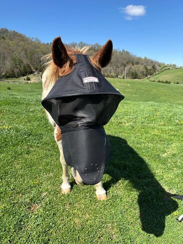 Solar Vizor Horse Fly Mask with Nose (Size COB), Innovative Design - 100% UV Eye Protection for Horses with Uveitis, Photosensitivity, Ulcer, Head Shaking, Protects from Flies, Insects in Saudi Arabia