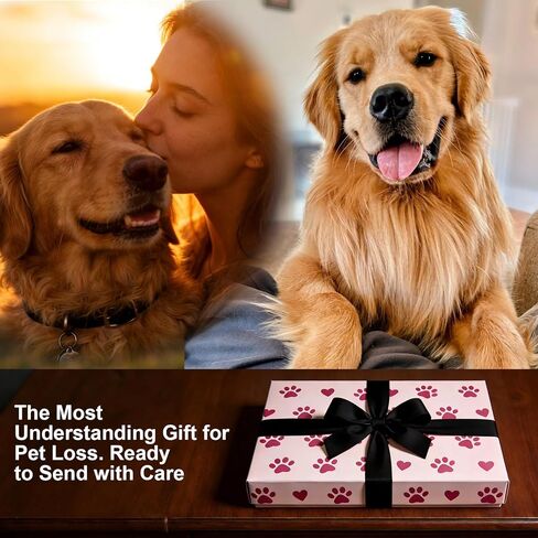 AIERSA Dog Memorial Picture Frame with Collar Holder & Paw Print Kit - Large 12.6 Inch Square Pet Loss Gift to Hold Photos, Keepsakes - Complete Memorial Set for Dog Remembrance in Saudi Arabia