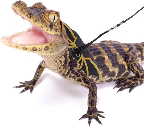GALPADA Adjustable Bearded Dragon Harness Leash Set with Cool Wings Small Reptile Outdoor Crawl Pet for Travel and Halloween 3 Pieces Gold in Saudi Arabia