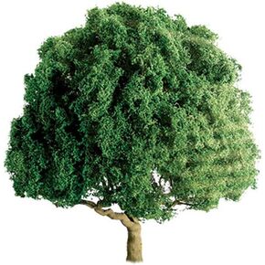 Professional Series: Oak, 1.5" in Kuwait