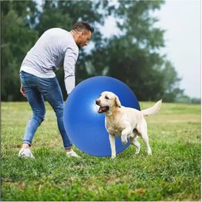 كرة رعي الكلاب من مواتر، مقاس كبير 25 بوصة in Kuwait