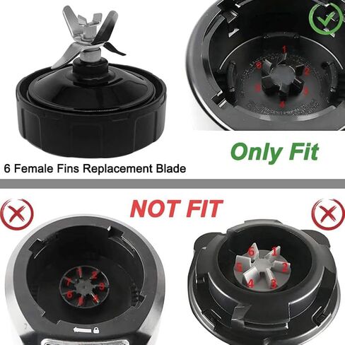 شفرة مستخرج 6 زعانف لخلاط Nutri Ninja 900W Auto iQ 1000W لـ Nutri Ninja Pro BL450C BL451C BL480 BL480D BL481C BL482 BL456 BL580 (زعانف أنثى) G_APOK in Kuwait