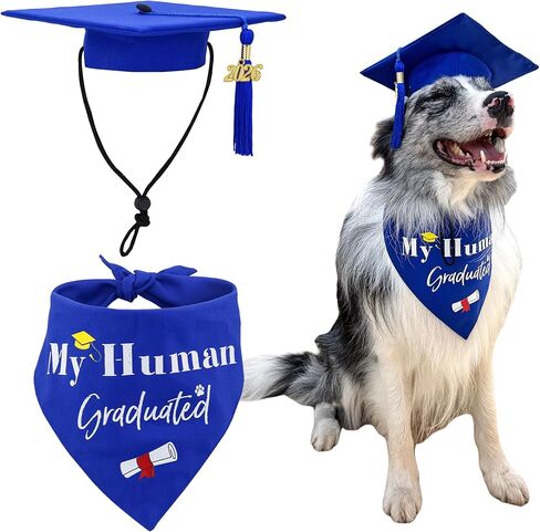 مجموعة عباءة وقبعة تخرج للكلاب من Graduatepro 2026 مع باندانا "My Human Graduated"، قبعة قابلة للتعديل للكلاب المتوسطة الكبيرة، دعائم صور لزي التخرج (ملكي) in Saudi Arabia