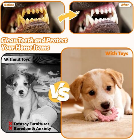 Puppy Play Gym with 9 Hanging Toys for Small Dogs, PVC Frame with Bungee Straps, Interactive Indoor Jungle Playground for Entertainment, Teething and Mental Stimulation in Kuwait