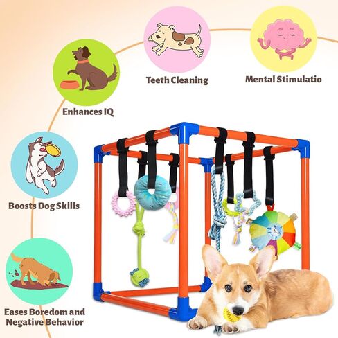Puppy Play Gym with 9 Hanging Toys for Small Dogs, PVC Frame with Bungee Straps, Interactive Indoor Jungle Playground for Entertainment, Teething and Mental Stimulation in Kuwait
