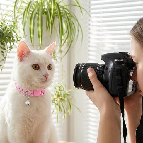 Reflective Cat Collar, Breakaway Cat Collars Kitten Collar with Bells Adjustable Collars for Small Cats Safety Quick Release Safety Buckle 7.9-13 Inches 5 Bright Colors for Small Pets in Saudi Arabia