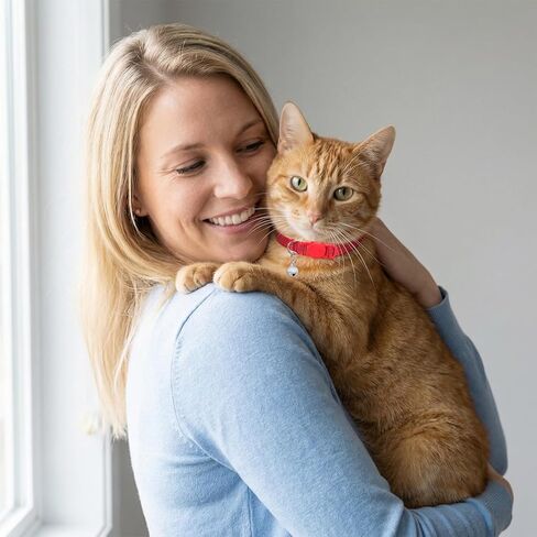 Reflective Cat Collar, Breakaway Cat Collars Kitten Collar with Bells Adjustable Collars for Small Cats Safety Quick Release Safety Buckle 7.9-13 Inches 5 Bright Colors for Small Pets in Saudi Arabia