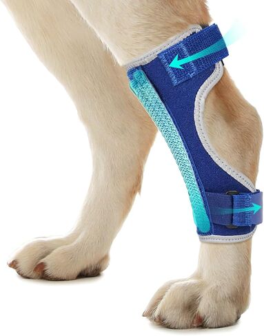 Dog Leg Braces for Back Leg- Hock and Ankle Joint Support Brace for Rear Legs with 2 Metal Strips, Reflective Edging for Sprain, Injury, Arthritis, Wound Recovery,Black,M in Kuwait