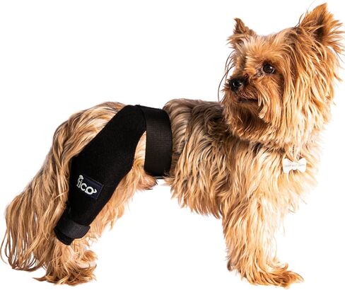 Dog Knee Brace for Hind Leg Support - Right Leg, CCL ACL Brace for Dogs, Vet Approved, Adjustable Orthopedic Support for Arthritis, Ligament Injuries & Post-TPLO Surgery Recovery (X Small) in Saudi Arabia