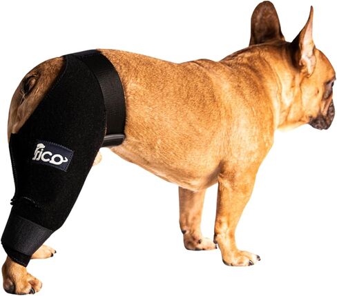 Dog Knee Brace for Hind Leg Support - Right Leg, CCL ACL Brace for Dogs, Vet Approved, Adjustable Orthopedic Support for Arthritis, Ligament Injuries & Post-TPLO Surgery Recovery (X Small) in Saudi Arabia