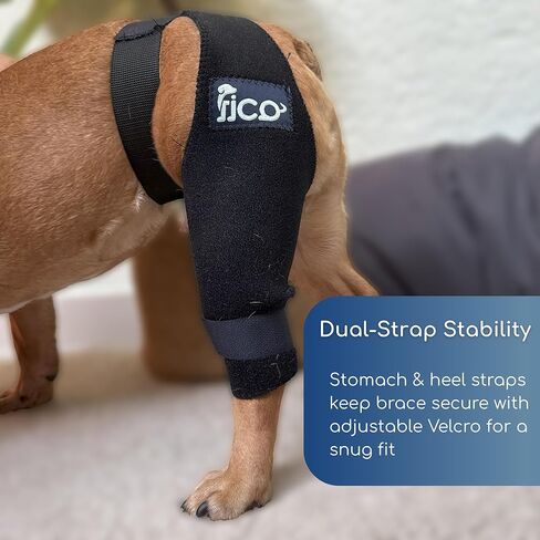 Dog Knee Brace for Hind Leg Support - Right Leg, CCL ACL Brace for Dogs, Vet Approved, Adjustable Orthopedic Support for Arthritis, Ligament Injuries & Post-TPLO Surgery Recovery (X Small) in Saudi Arabia