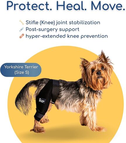 Dog Knee Brace for Hind Leg Support - Right Leg, CCL ACL Brace for Dogs, Vet Approved, Adjustable Orthopedic Support for Arthritis, Ligament Injuries & Post-TPLO Surgery Recovery (X Small) in Saudi Arabia