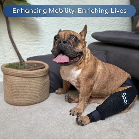 Dog Knee Brace for Hind Leg Support - Right Leg, CCL ACL Brace for Dogs, Vet Approved, Adjustable Orthopedic Support for Arthritis, Ligament Injuries & Post-TPLO Surgery Recovery (X Small) in Saudi Arabia