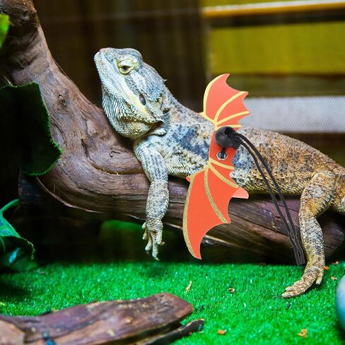 Adjustable Bearded Dragon Harness Leash Set with Lead Rope, Small Orange Reptile Lizard Traction Rope for Outdoor Escape Prevention and Walking Small Pets in Saudi Arabia