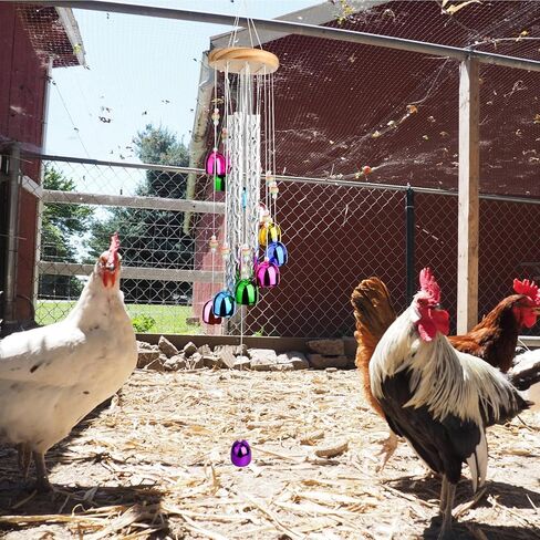 لعبة دقات الرياح الملونة للدجاج، ملحقات حظيرة إثراء الدجاج، لوازم ألعاب لدقات الرياح الخارجية، ديكور معلق للدجاج والطيور والببغاوات وطيور الحب والببغاء in Kuwait