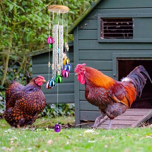 لعبة دقات الرياح الملونة للدجاج، ملحقات حظيرة إثراء الدجاج، لوازم ألعاب لدقات الرياح الخارجية، ديكور معلق للدجاج والطيور والببغاوات وطيور الحب والببغاء in Kuwait