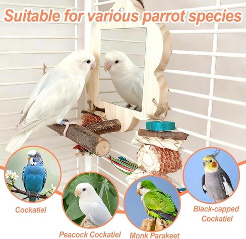 Bird Mirror with Perch, Cockatiel Mirror for Cage, Parakeet Toys with Chew Toy,Bird Cage Accessories for Parrot Conure Lovebirds Finch Canaries (Corn Cob) in Saudi Arabia