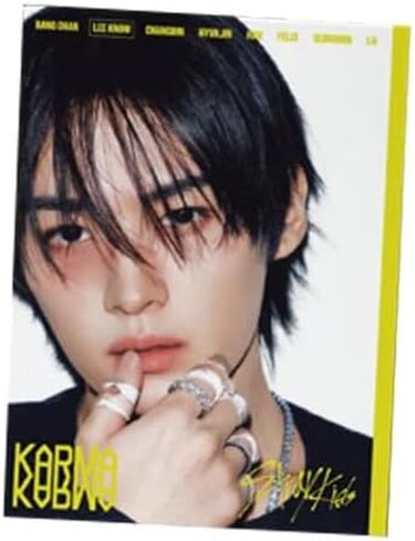 ألبوم Stray Kids KARMA الرابع ACCORDION [إصدار Lee Know] كتاب صور + قرص مضغوط + بطاقة صور + صورتان مقطوعتان in Saudi Arabia