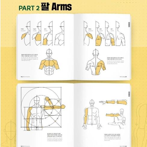 رسم شخصية النقطة 2 بواسطة تاكو | كتاب تشريح المانغا الكورية | الإنجليزية الفرعية in Kuwait