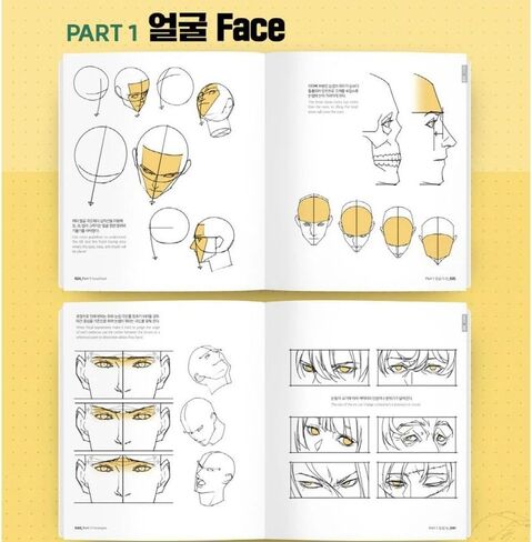 رسم شخصية النقطة 2 بواسطة تاكو | كتاب تشريح المانغا الكورية | الإنجليزية الفرعية in Kuwait