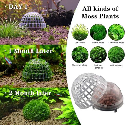 2 Pack Aquarium Moss Ball Holder Professional Plastic Moss Plant Holder with Hollow-Designed for Fish Tank Accessories in Saudi Arabia