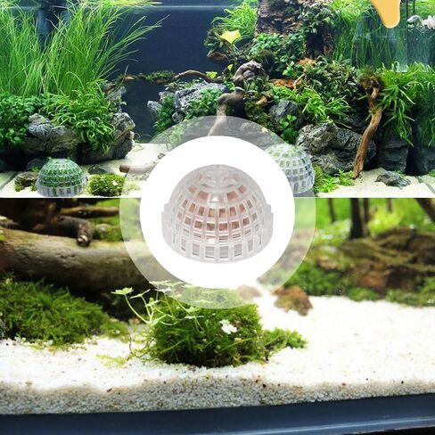 2 Pack Aquarium Moss Ball Holder Professional Plastic Moss Plant Holder with Hollow-Designed for Fish Tank Accessories in Saudi Arabia