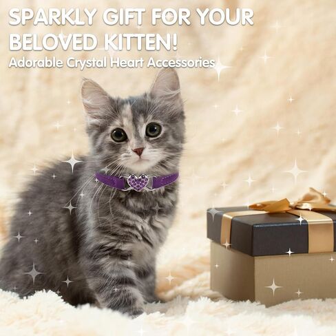 BINGPET Diamond Cat Collar,Adjustable Soft Velvet Leather Safe Kitten Collar with Crystal Heart Charm and Bells,Girl Boy Bling Stylish Cat Collars with Safety Elastic (Purple, Neck Girth 8"-10") in Saudi Arabia