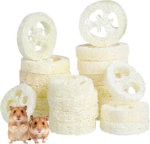 veemoon 20pcs الهامستر الأرنب لعبة مضغ الحيوانات الأليفة، اللوف الطبيعي الحيوانات الصغيرة مضغ أداة الحيوانات الأليفة لعبة المولي لخنزير غينيا شينشيلا الهامستر الفئران تنظيف الأسنان والعناية بالفم الإجهاد الإغاثة الترفيه in Kuwait
